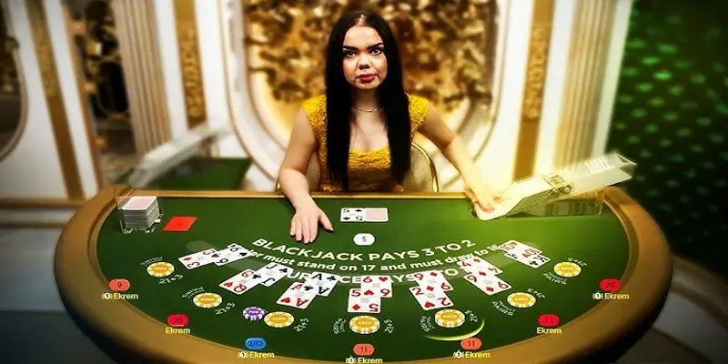 Chiến thuật chơi blackjack: Nắm rõ luật chơi